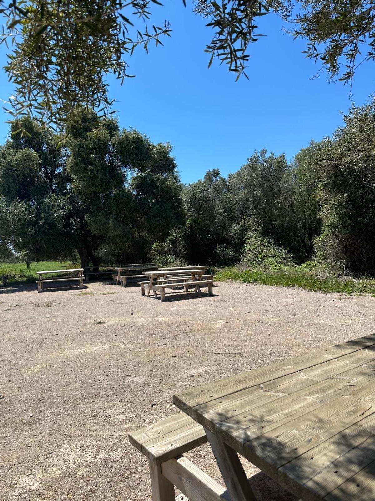 Duplex, Piscina Y Playa Βίλα Puebla de Farnals Εξωτερικό φωτογραφία